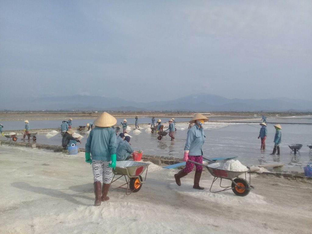 Nha Trang Salt Field Tour