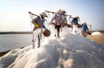 Nha Trang Salt Field Tour